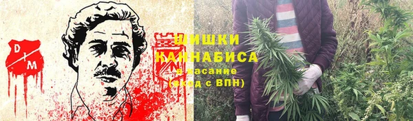 соль ск Кинешма